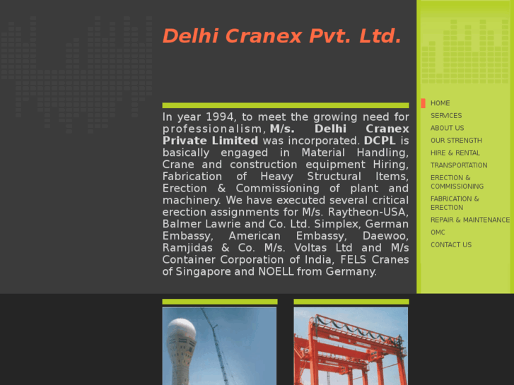 www.delhicranes.com