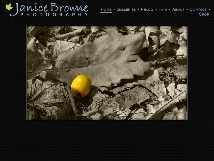 www.janicebrowne.com