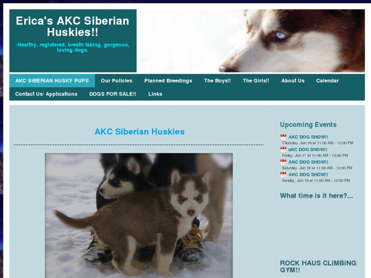 www.akcsiberianhuskypups.com