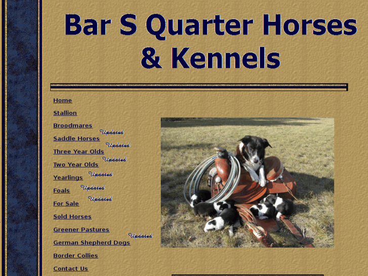 www.barsquarterhorses.ca