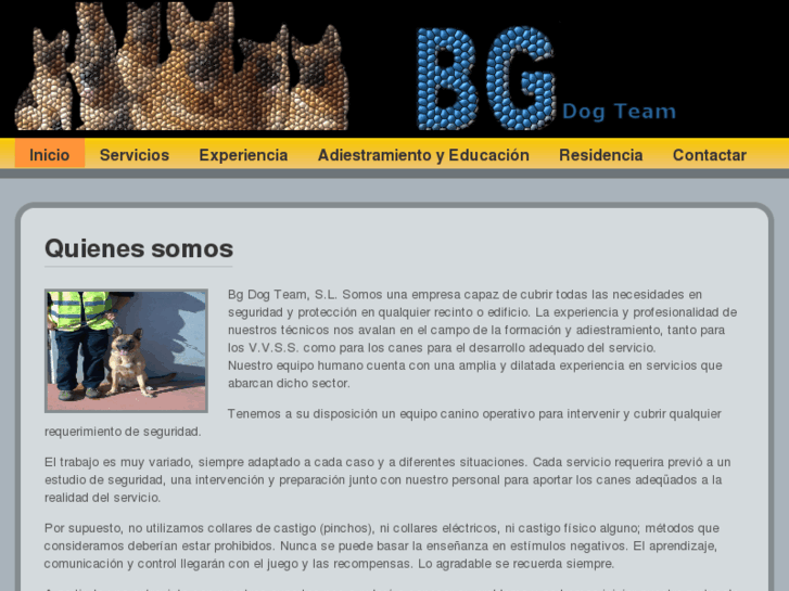 www.bgdogteam.com