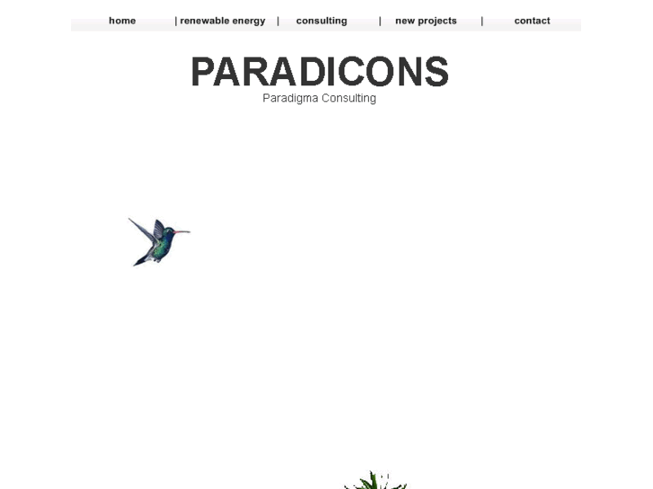 www.paradicons.com