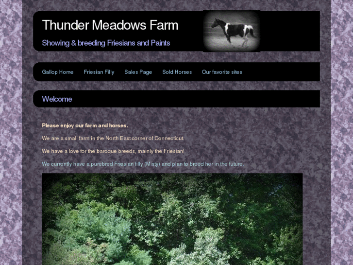 www.thundermeadowsfarm.com