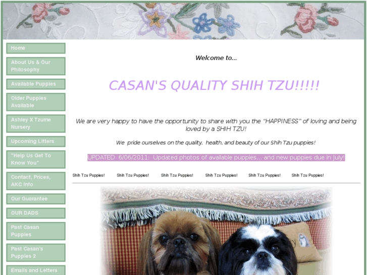 www.casansqualityshihtzu.com