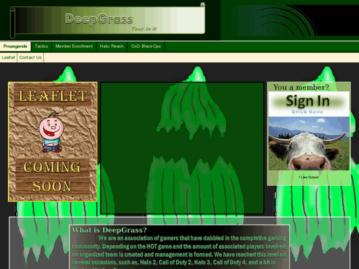 www.deepgrass.net