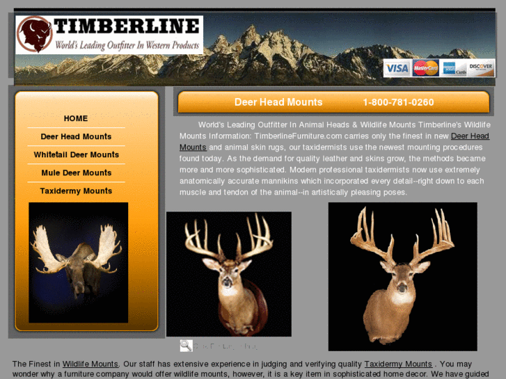 www.deerheadmounts.com