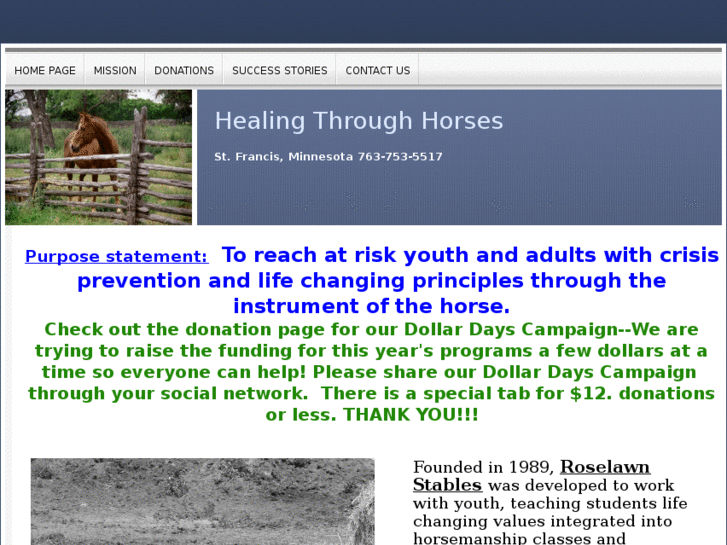 www.healing-through-horses.org