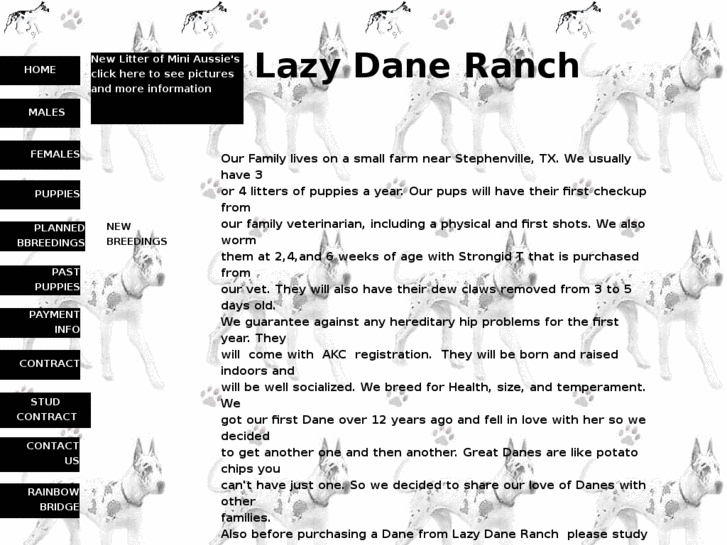 www.lazydaneranch.com