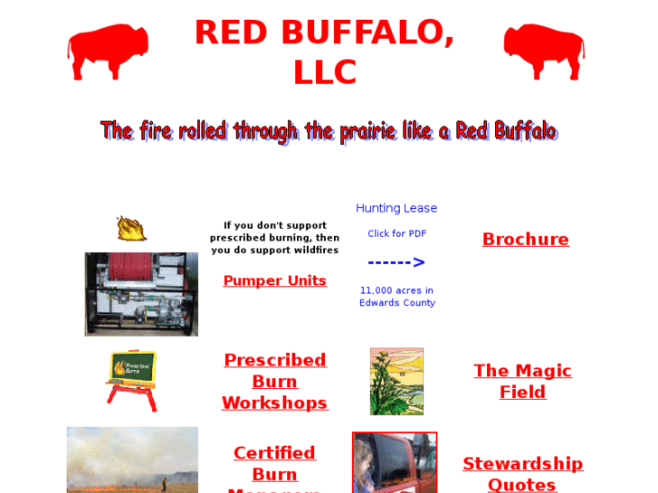 www.myredbuffalo.com