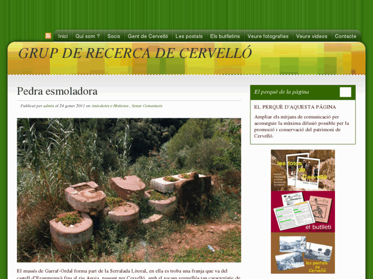 www.recercacervello.com