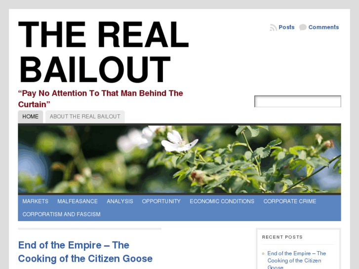 www.therealbailout.com