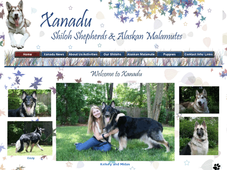 www.xanadushilohs.com