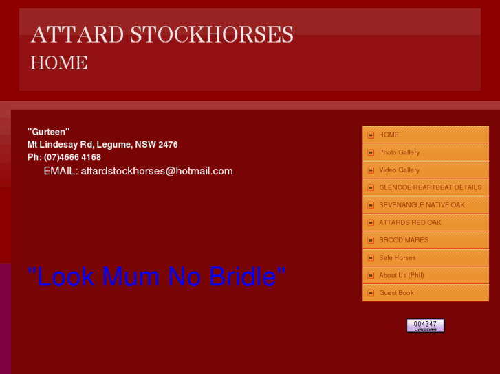 www.attardstockhorses.com