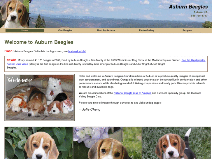 www.auburnbeagle.com