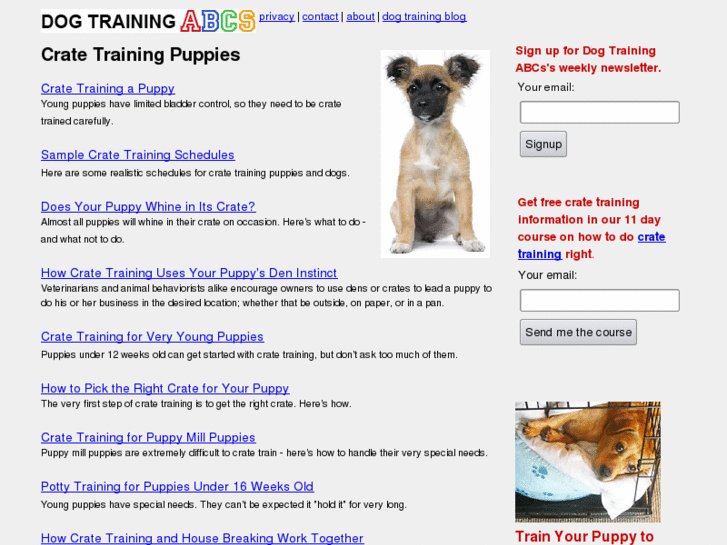 www.dogtrainingabcs.com