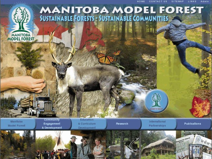 www.manitobamodelforest.net