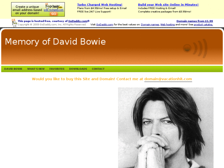 www.memoryofdavidbowie.com