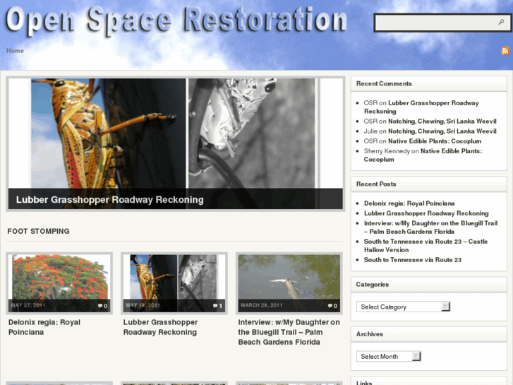 www.openspacerestoration.com