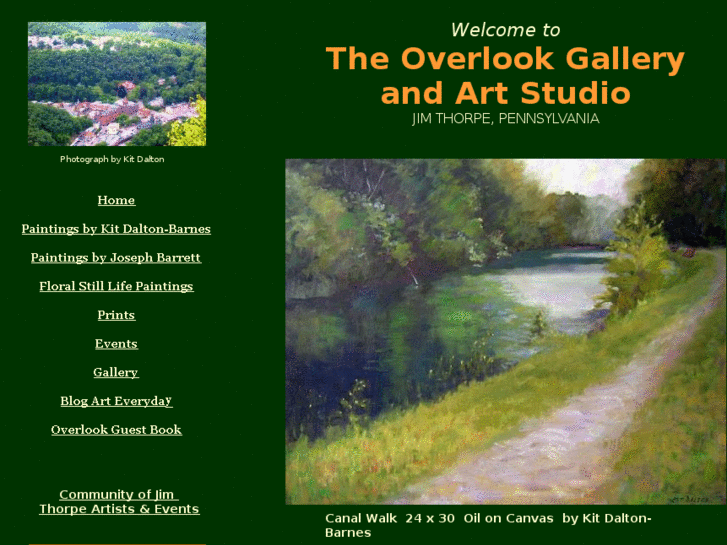 www.overlookgalleryoffineart.com