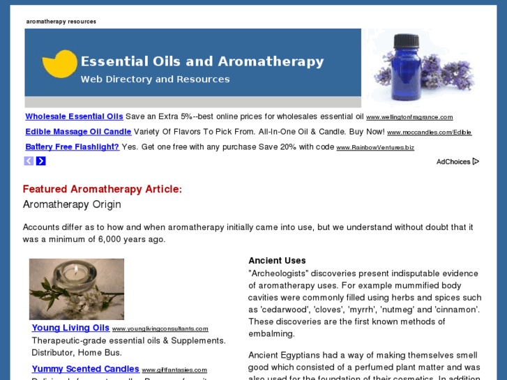 www.understandingaromatherapy.com