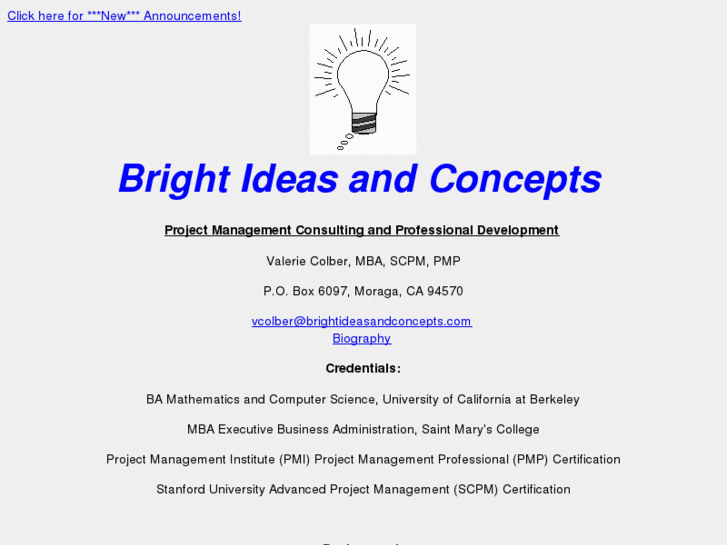 www.brightideasandconcepts.com