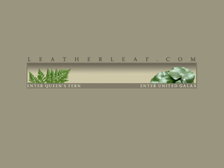 www.leatherleaf.com