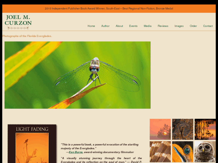 www.lightfading.com