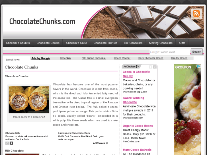 www.chocolatechunks.com