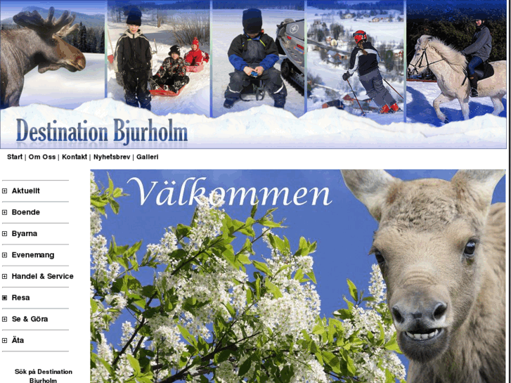 www.destinationbjurholm.com