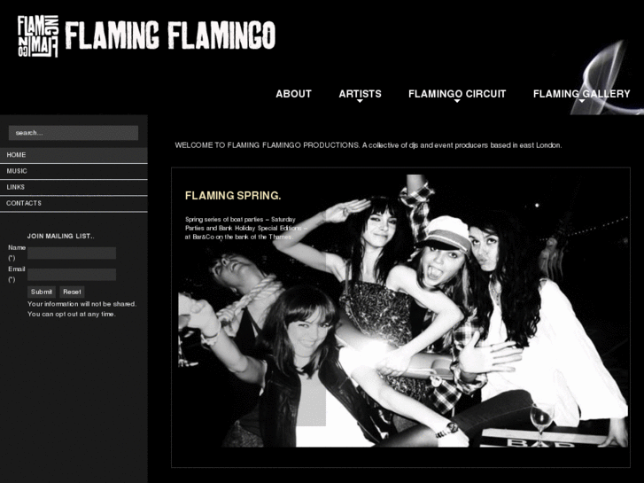 www.flamingflamingo.co.uk