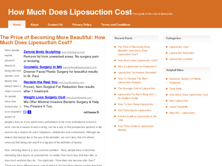 www.howmuchdoesliposuctioncost.net