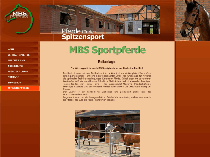 www.mbs-sportpferde.com