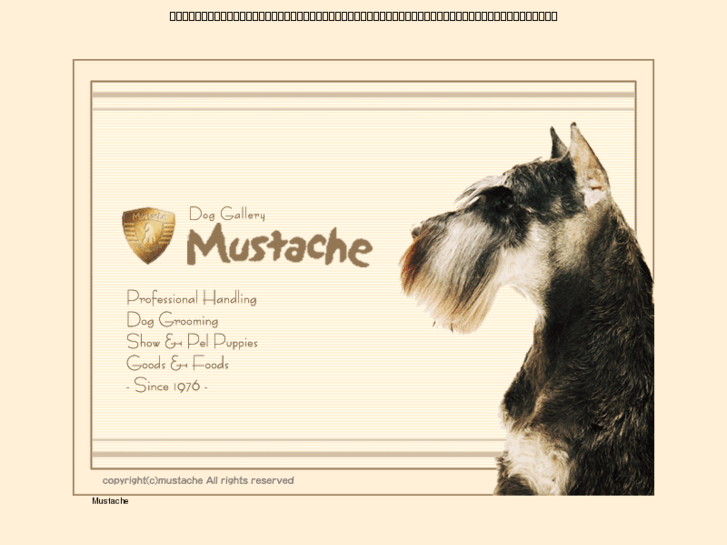 www.mustache-h.com