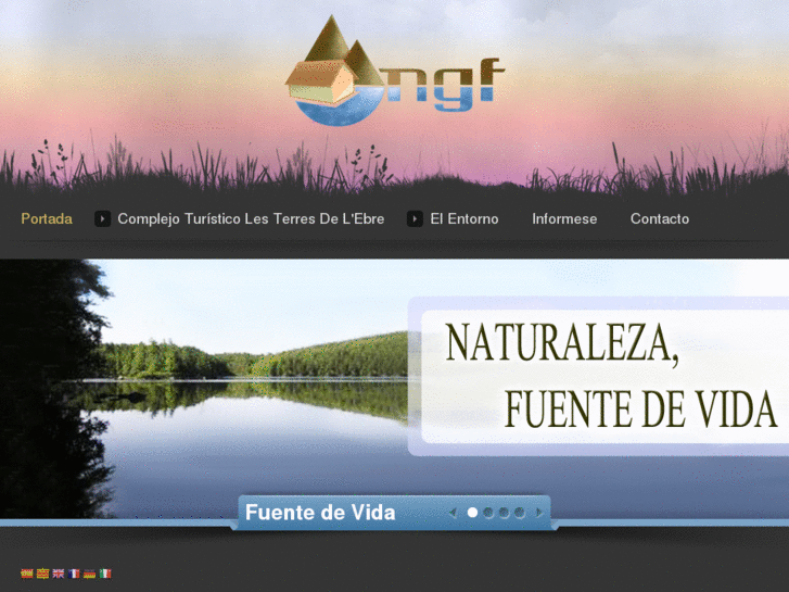 www.ngfinanciera.com