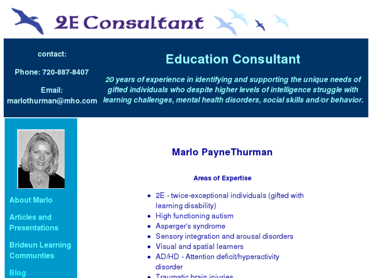 www.2econsultant.com