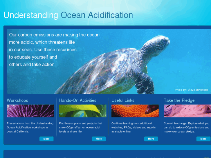 www.acidocean.org