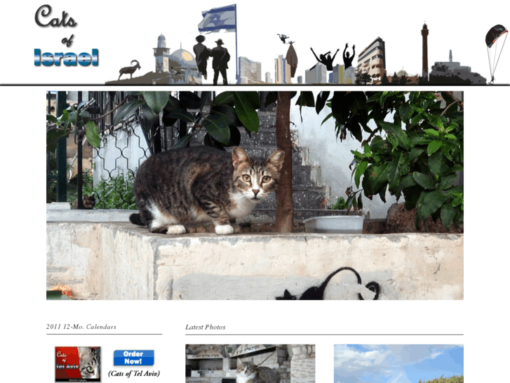 www.catsofisrael.com