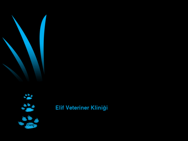 www.eliftiryakioglu.com