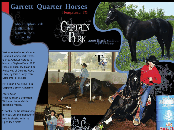 www.garrettquarterhorses.com