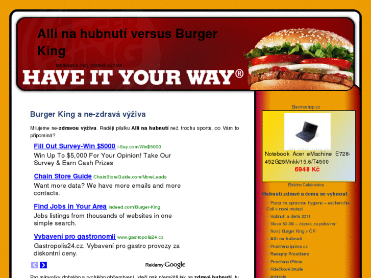 www.king-burger.eu
