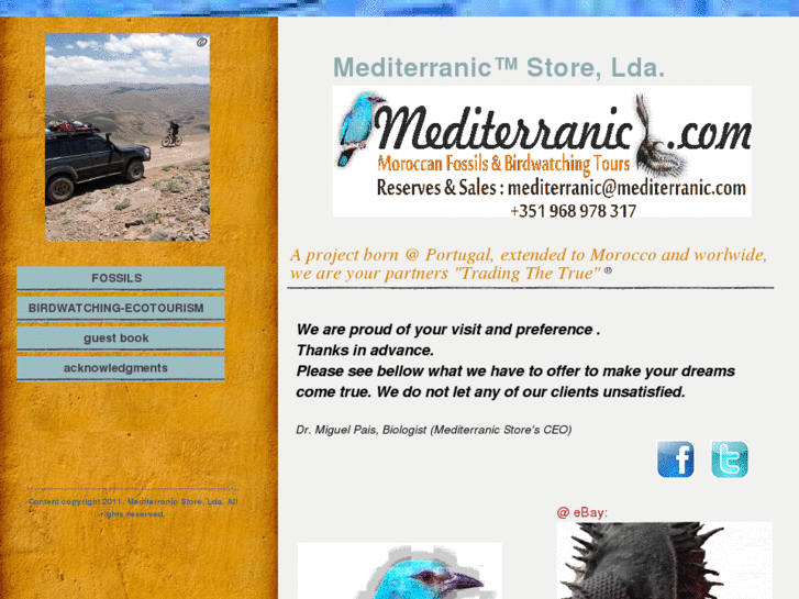 www.mediterranic.com