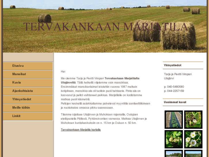 www.tervakankaanmarjatila.com