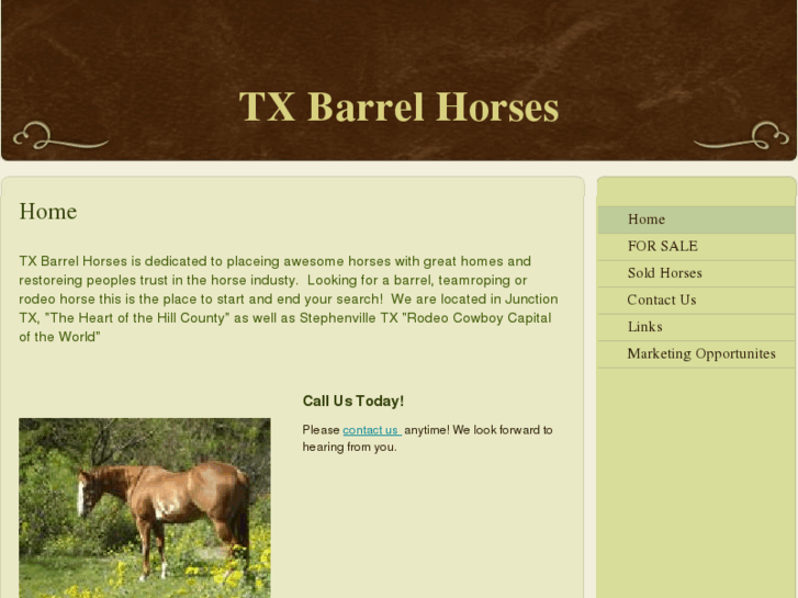 www.txbarrelhorses.com