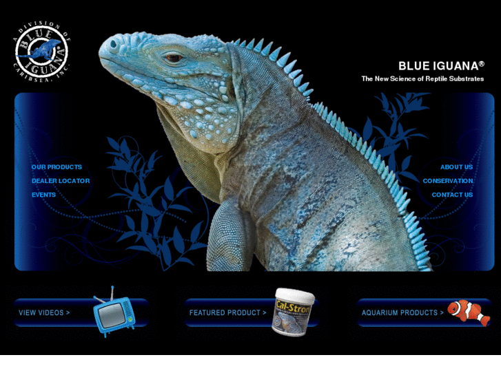 www.blueiguanabrand.com