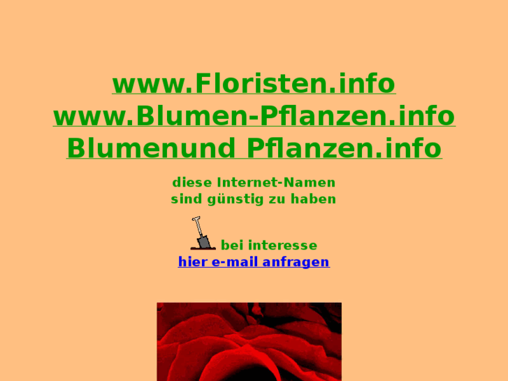 www.blumenundpflanzen.info