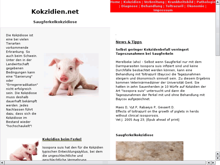 www.kokzidien.net