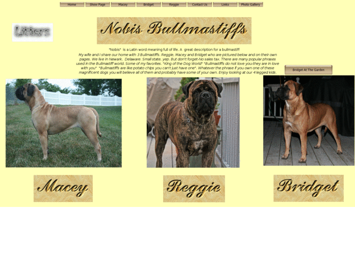 www.nobisbullmastiffs.com