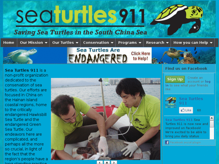 www.seaturtles911.org