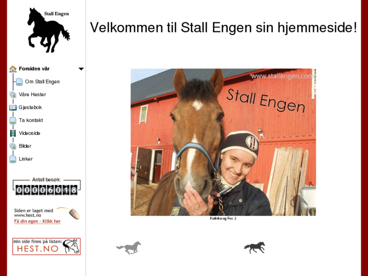 www.stallengen.com