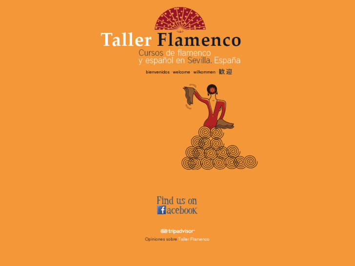 www.tallerflamenco.com